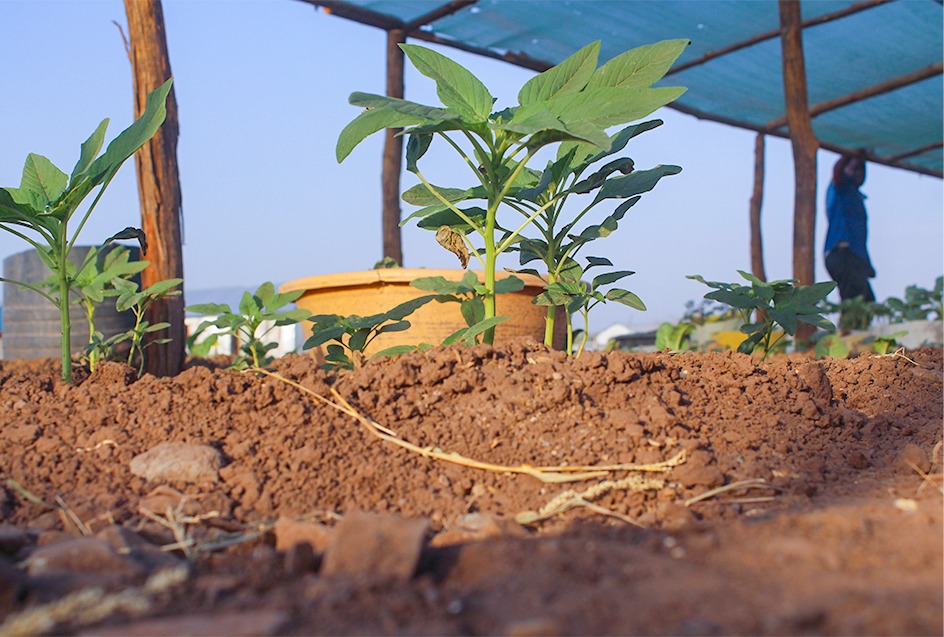 Environmental Conservation